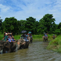 Chitwan  Education Tour