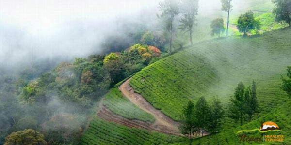 Sikkim and Darjeeling tour